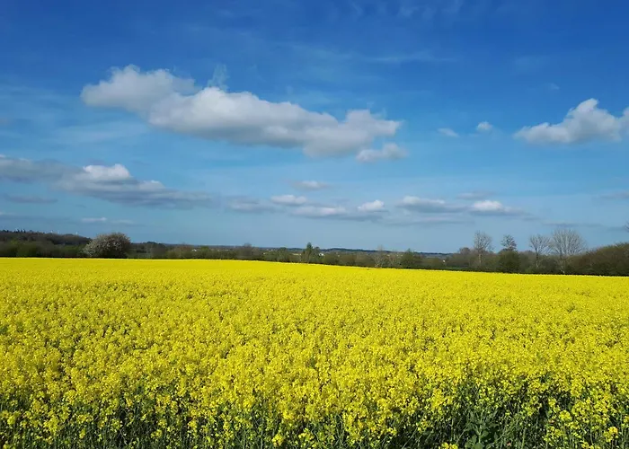 Fuge In An Der Schlei Appartement